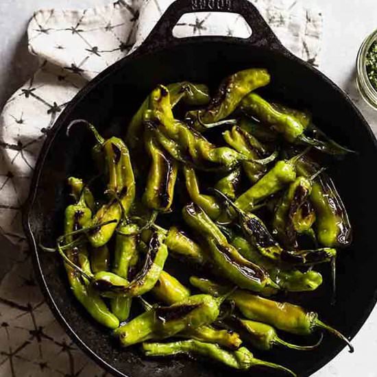 Blistered Shishito Peppers - Recipe photo by SundaySupper