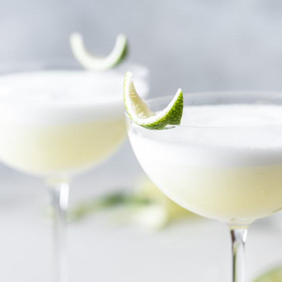 the best gin sour - Recipe photo by withspice