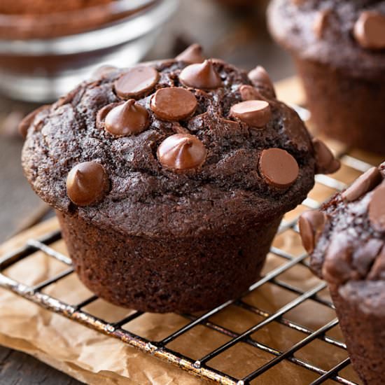 Double Chocolate Chip Muffins - Recipe photo by thecozyapron
