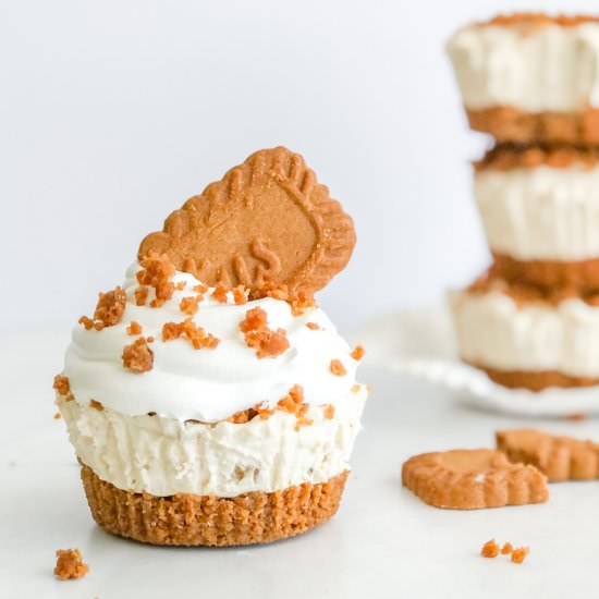 No Bake Mini Biscoff Cheesecakes - Recipe photo by semisweetbites