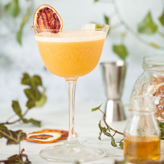 Rum Sour Cocktail - Recipe photo by littlesugarsnaps