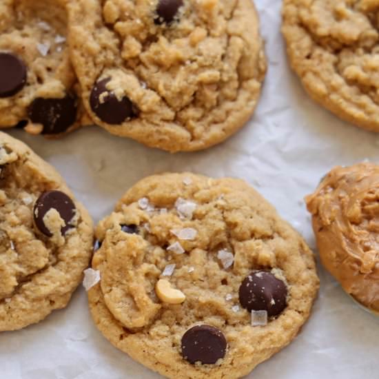 Peanut Butter Chocolate Cookies - Recipe photo by flavor-feed