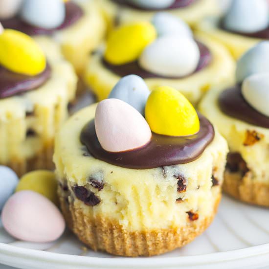 Easter Cheesecake Bites - Recipe photo by Kathryns.kitchen.blog