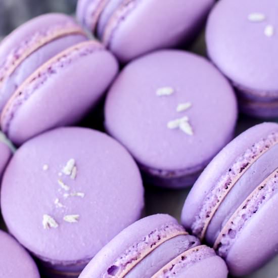 Lavender & Blackberry Macarons - Recipe photo by Bakes and Blunders