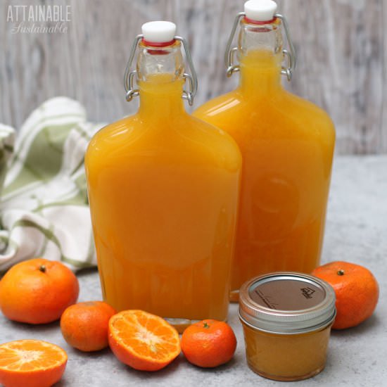 Tangerine Syrup - Recipe photo by Attainable Sustainable