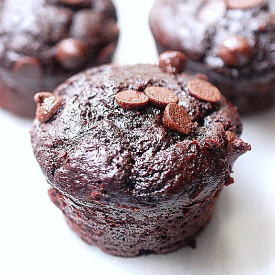 Triple chocolate chip muffins - Recipe photo by evabakes