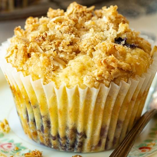 Blueberry Sour Cream Muffins - Recipe photo by tenpoundcakecompany