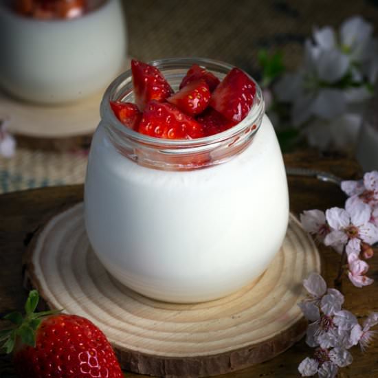 YOGUR NATURAL CASERO - Recipe photo by JUEGODESABORES