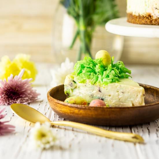 Easter Egg Cheesecake - Recipe photo by Burrata and Bubbles