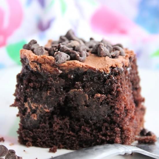 Death By Chocolate Poke Cake - Recipe photo by biggreenhouse