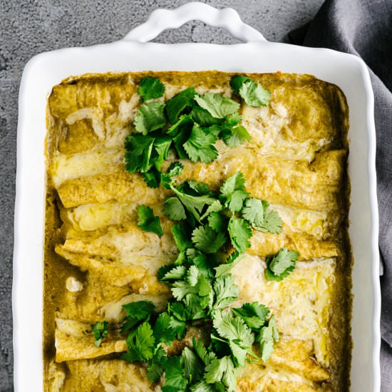 Pulled Pork Enchiladas - Recipe photo by PinchandSwirl