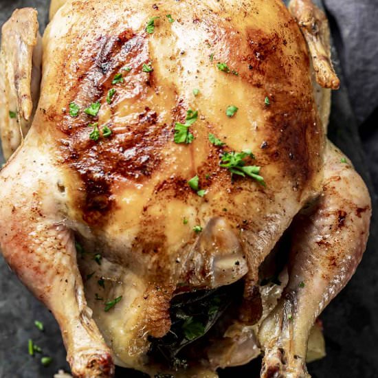Dutch Oven Roasted Chicken - Recipe photo by Went Here 8 This