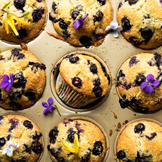 Jordan Marsh Blueberry Muffins - Recipe photo by LifesLittleSweets