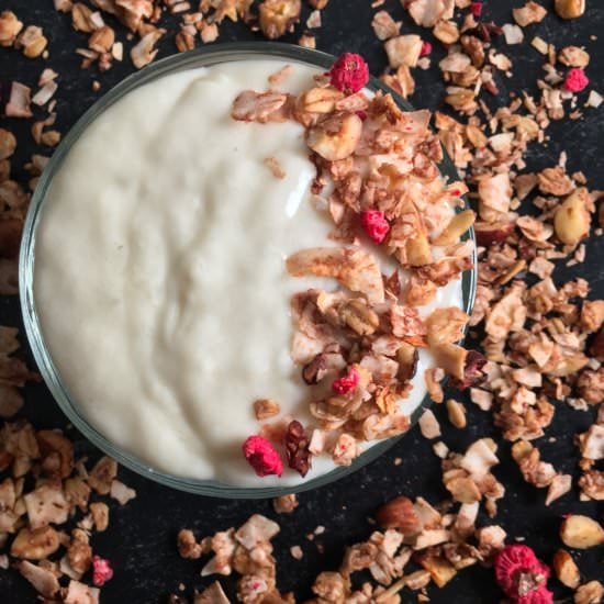 Oat Milk Yogurt Recipe - Recipe photo by summeryule.com