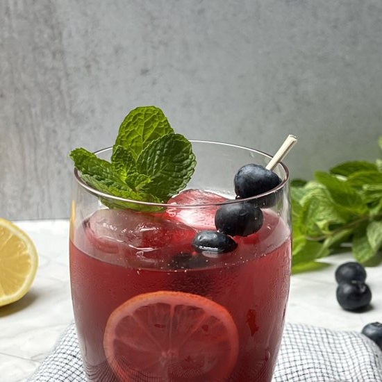 Blueberry-Ginger Lemonade - Recipe photo by flavor-feed