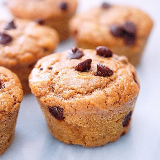 Sourdough pumpkin chocolate muffins - Recipe photo by evabakes
