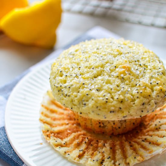 Sourdough Lemon Poppy Seed Muffins - Recipe photo by littlehomeinthemaking
