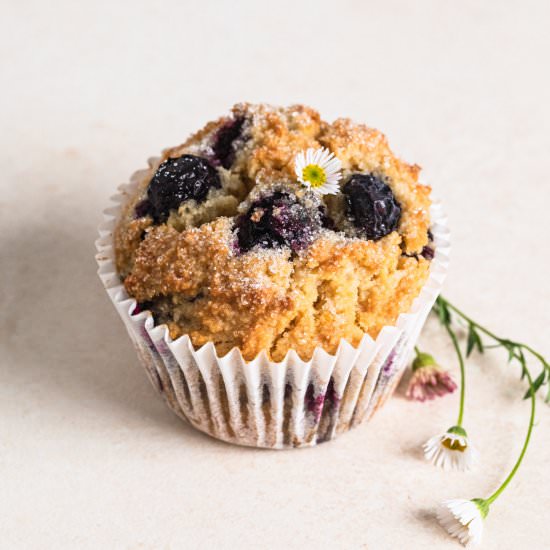 Lemon Blueberry Gluten Free Muffins - Recipe photo by Our Nourishing Table