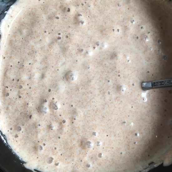 Spelt Flour Sourdough Starter - Recipe photo by summeryule.com