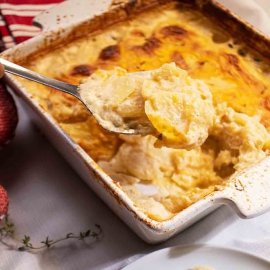 Vegan Potatoes Au Gratin - Recipe photo by Absolute Foodie