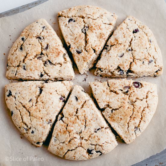 Paleo Chocolate Chip Scones - Recipe photo by sliceofpaleo
