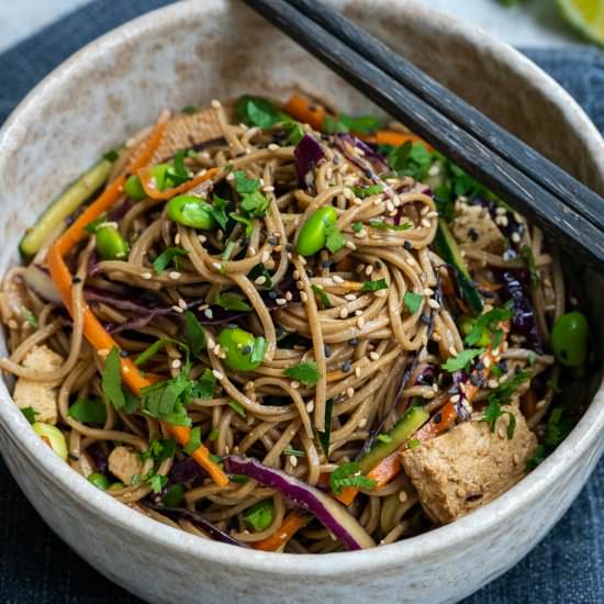 Vegan Soba Noodle Salad - Recipe photo by Sixhungryfeet