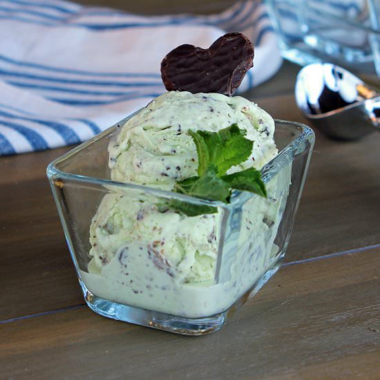 Mint Choc Chip Ice Cream - Recipe photo by glutenfreealchemist