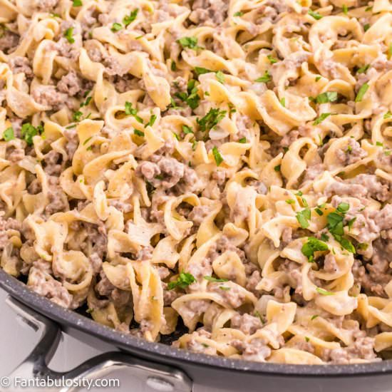 Beef Stroganoff - Recipe photo by Fantabulosity