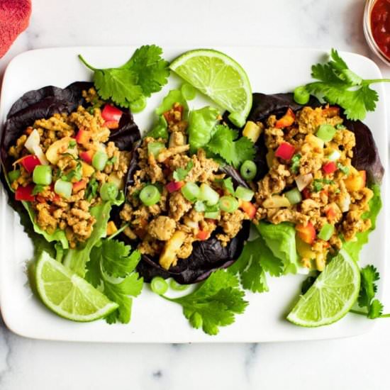 Quick Turkey Lettuce Wraps - Recipe photo by allweeat