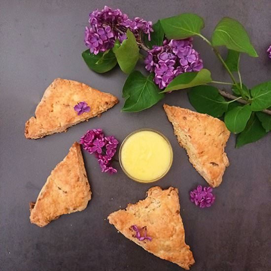 Lilac Scones with Lemon Curd - Recipe photo by 2pots2cook