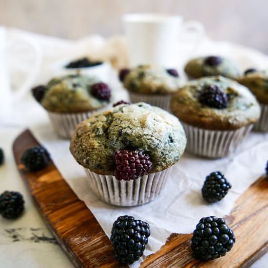 Easy Gluten Free Blackberry Muffins - Recipe photo by gastronotherapy