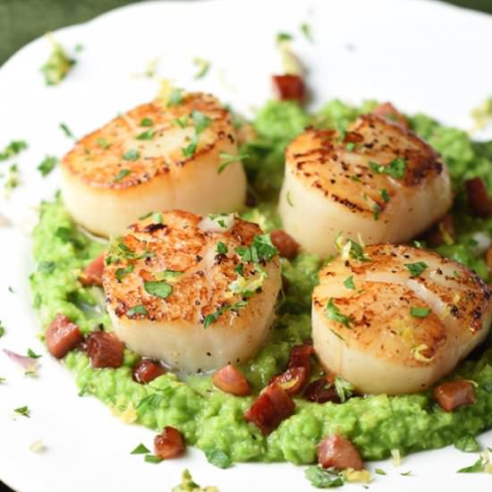 Seared Scallops with Pancetta - Recipe photo by bellyfull