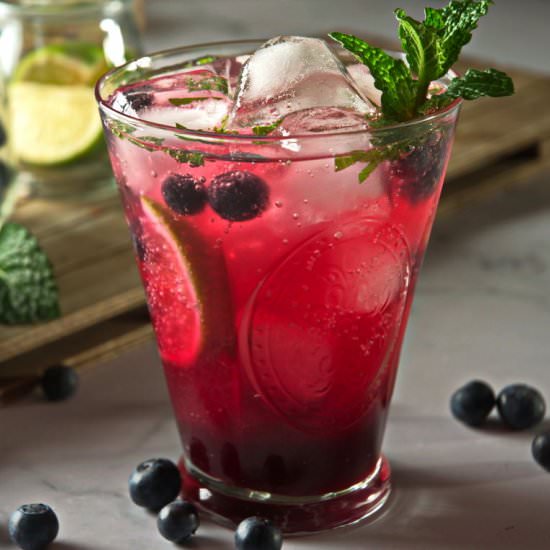 Blueberry Mojito Mocktail - Recipe photo by inthekitchnet