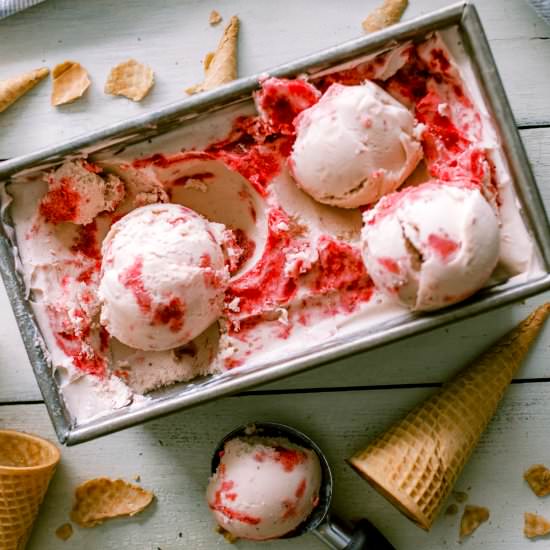 Strawberry Mint Ice Cream - Recipe photo by LifeAroundtheTable
