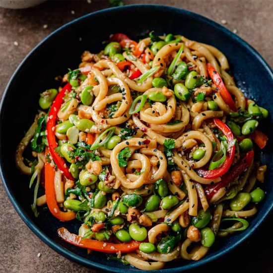 Easy Vegan Chili Garlic Noodles - Recipe photo by rainbowplantlife