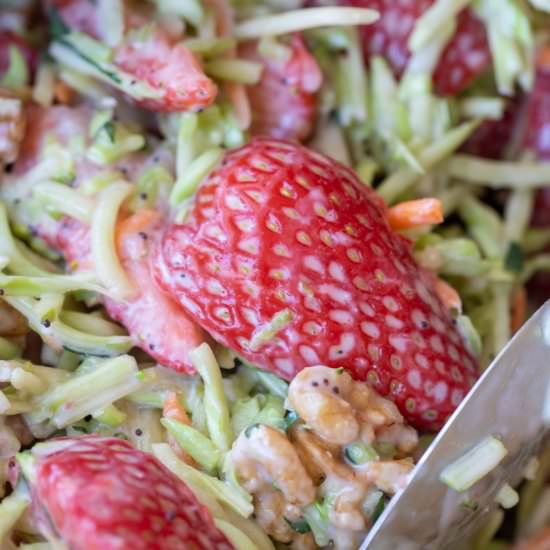 Trader Joe's Broccoli Slaw Salad - Recipe photo by Kelli @ Hungry Hobby
