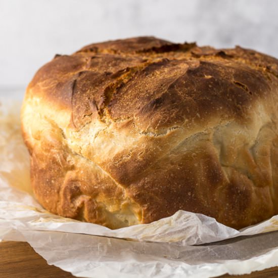 Potbrood - Recipe photo by saltyginger