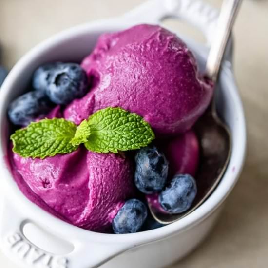 Blueberry Frozen Yogurt - Recipe photo by Skinnytaste