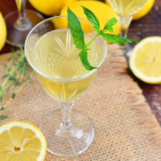 Limoncello - Recipe photo by WillCookForSmiles