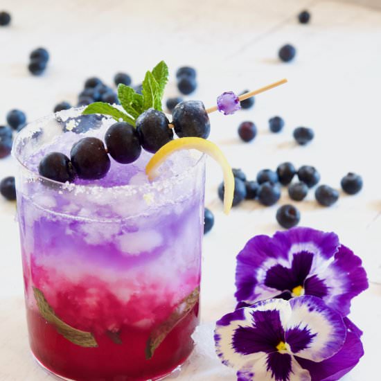 Patriotic Blueberry Gin Cocktail - Recipe photo by thefreshcooky
