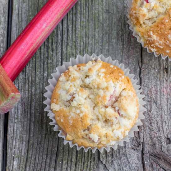 Spiced Rhubarb Muffins - Recipe photo by flavor-feed