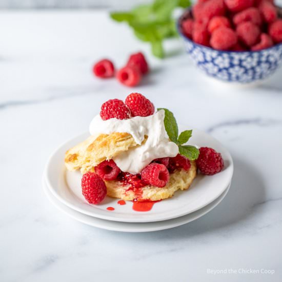 Raspberry Shortcake - Recipe photo by BeyondtheCoop