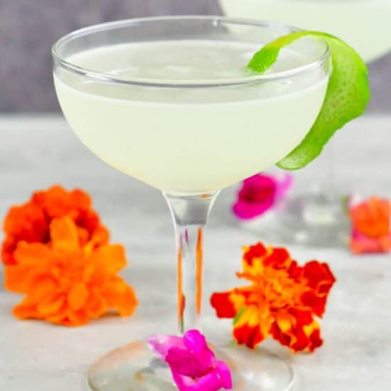 Classic Daiquiri - Recipe photo by WillCookForSmiles