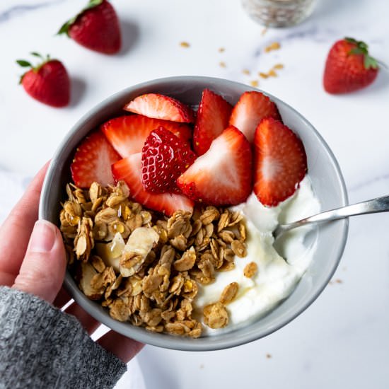 Yogurt Granola Bowl - Recipe photo by freshapron