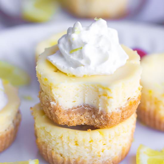 Mini Lemon Cheesecakes - Recipe photo by Kathryns.kitchen.blog
