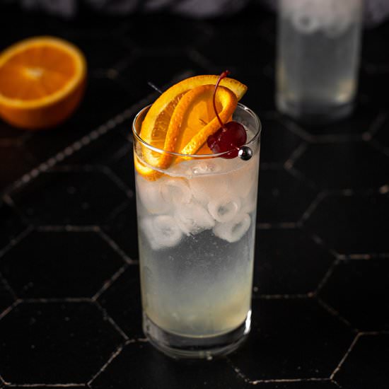 Vodka Collins - Recipe photo by anerdcooks