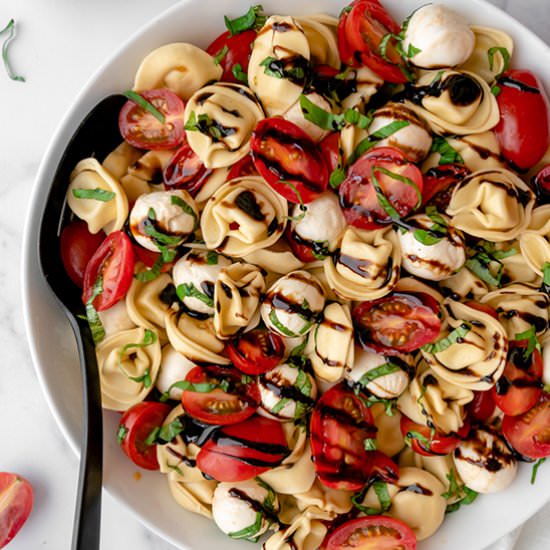 Tortellini Caprese - Recipe photo by balancewithjess