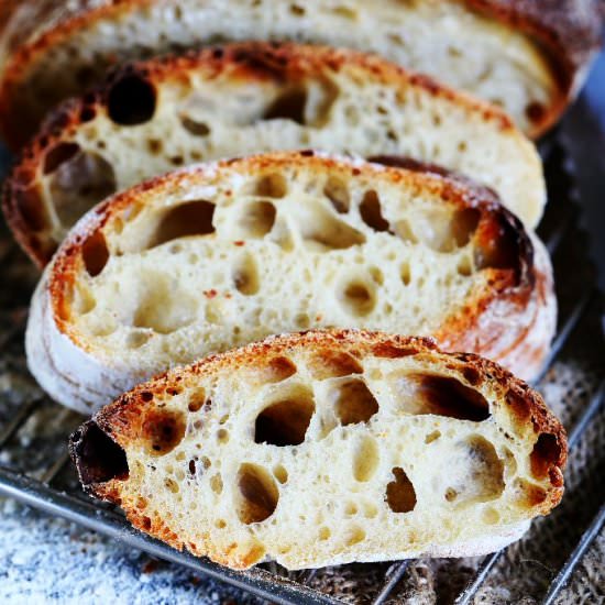 Wild Yeast Ciabatta - Recipe photo by angiesrecipes