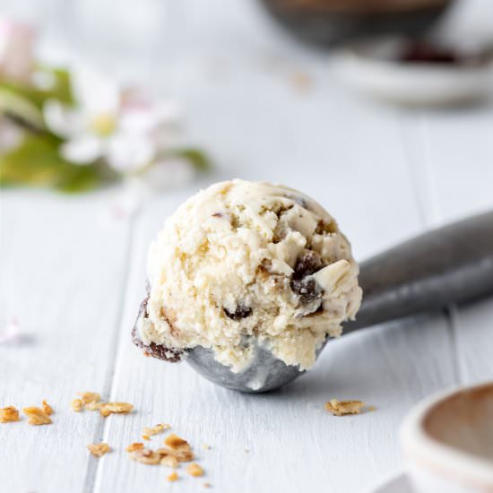 rum raisin ice cream - Recipe photo by withspice