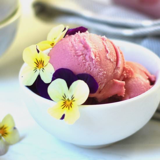 Pomegranate Coconut Sherbet - Recipe photo by the good eats co